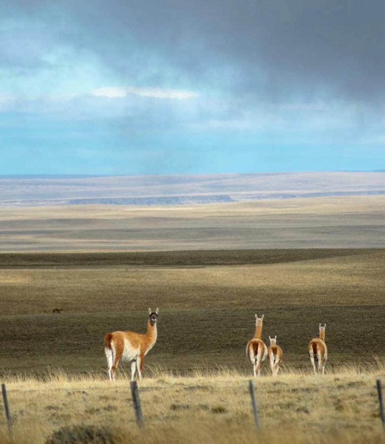 South Apartments El Calafate Zewnętrze zdjęcie